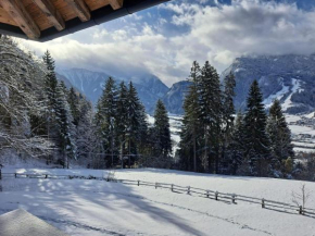 Apart Sunny Side Ramsau Im Zillertal